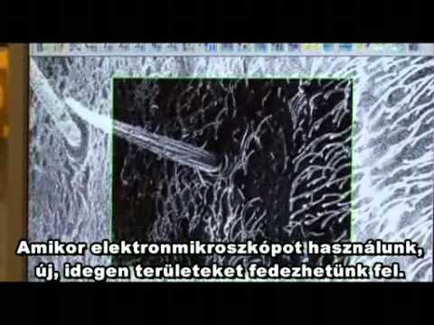 Mi az a nano? (Hungarian subtitles)