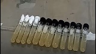 Cálculos para PDA en tubo