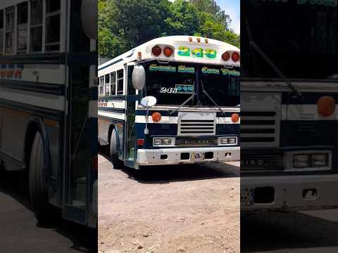 Este es el bus que sube al Cerro Verde #parati #elsalvador #travel #usa