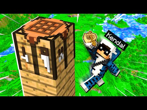 50 COSE CHE SOLO I PRO SANNO FARE - MINECRAFT ITA