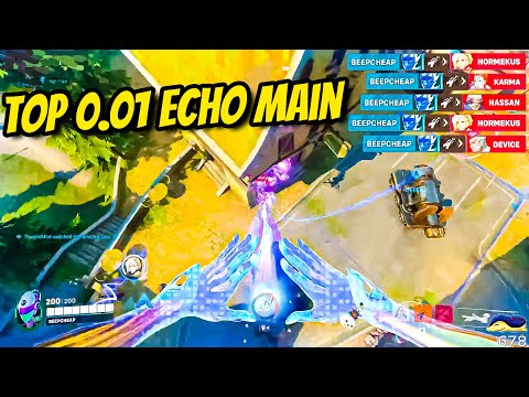 What a *TOP 100* ECHO Looks like in Overwatch 2
