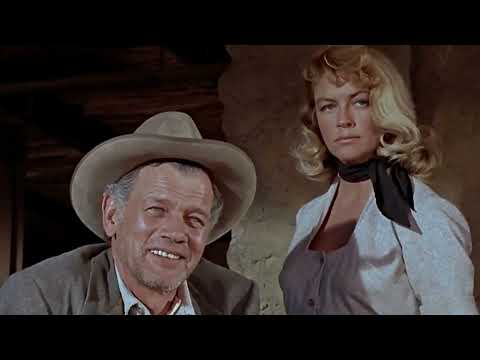 The Last Sunset Movie - A Cult Classics People Barely Remember