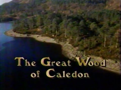 The Great Wood of Caledon (1989)
