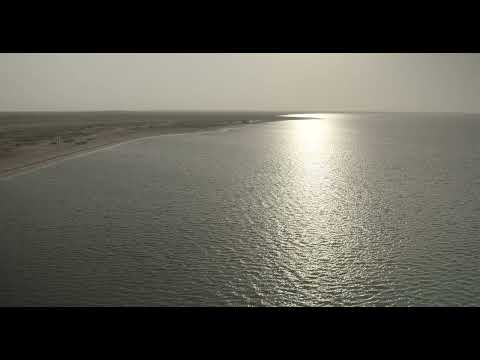 Empty beach with mangrove, Red Sea, Farasan, Saudi Arabia