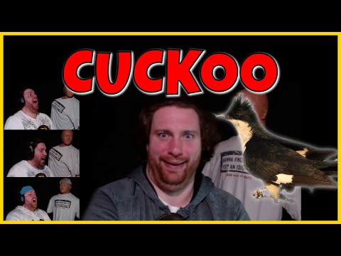 Pchooly: "Cuckoo" - Hilarious & Destructive Warzone and Vanguard Rage Moments #53