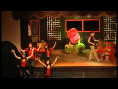 Sudden changes/Feed Me -Little Shop of Horrors