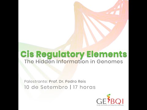 Cis regulatory elements: the hidden information in genomes