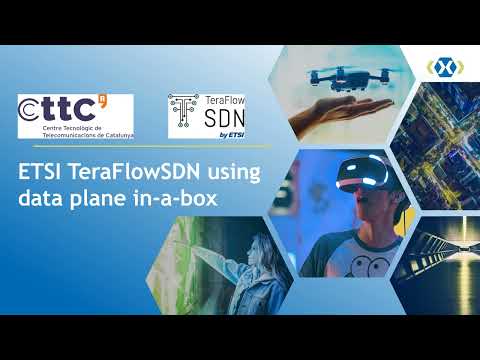 ETSI TeraFlowSDN using data plane in-a-box