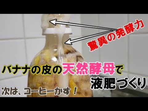 イラクサ肥料のレシピプロセスの準備を臭くする