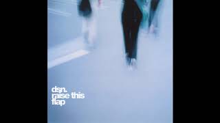 DSN. (Deep Space Network) ‎– Raise This Flap (Full Album, 2004)