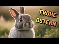 süße u0026 lustige ostergrüße vom osterhasen 🐇 ich wünsche dir frohe ostern