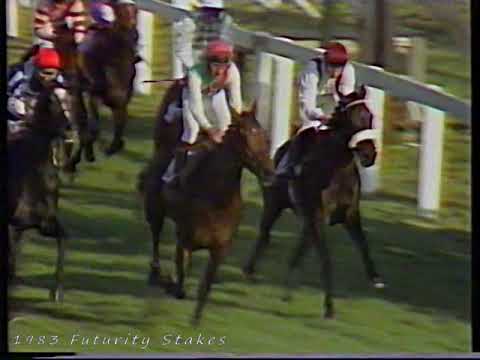 1983 William Hill Futurity Stakes Alphabatim Inc Post Race Replay & Enclosure