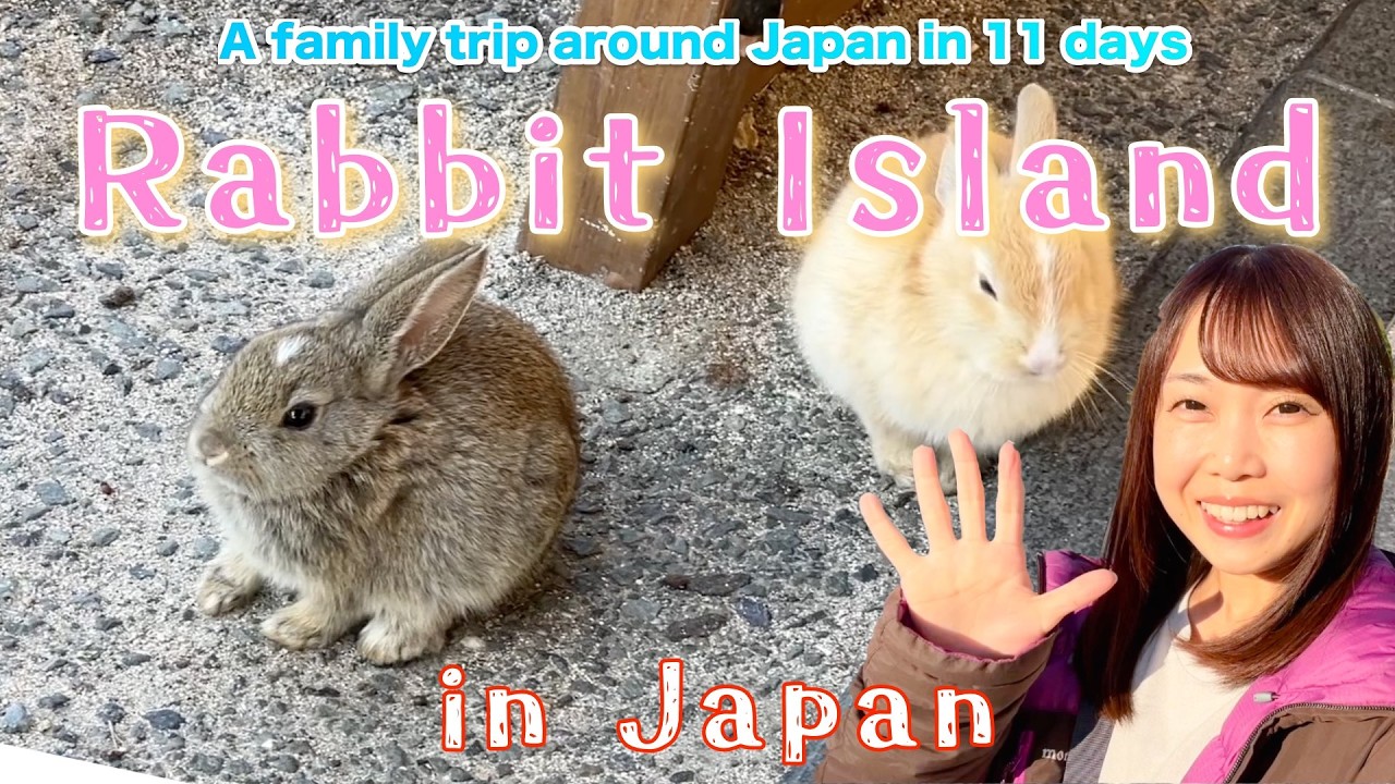 Japan's Rabbit Island【A family trip around Japan in 11 days】