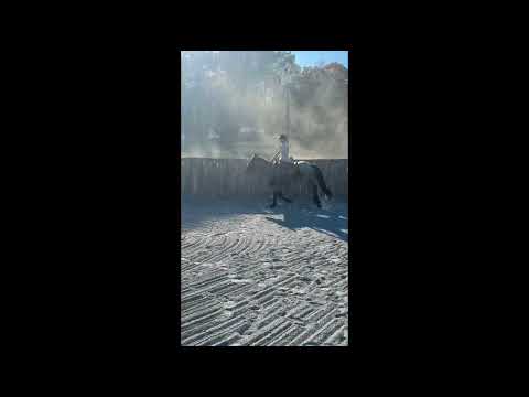 youtube preview