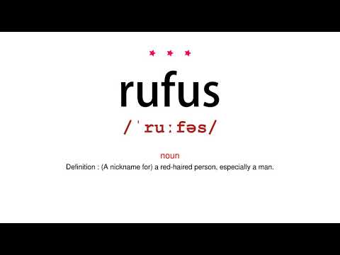How to pronounce rufus - Vocab Today