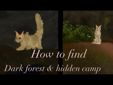 Lakeside tales:reborn : How to find the hidden camp and dark forest tutorial