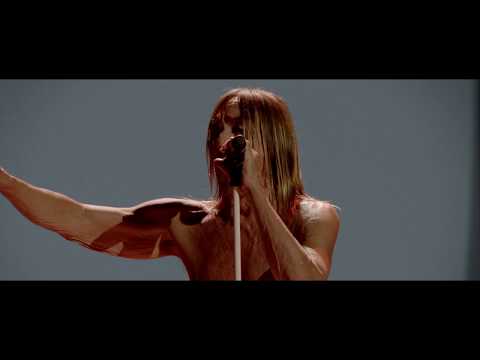 Iggy Pop - American Valhalla