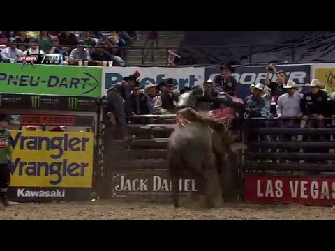 Derek Kolbaba rides I’m a Gangster Too for 87 points (PBR)