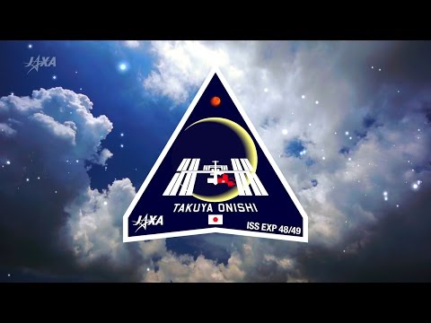 国際宇宙ステーション:ESA長官は民営化は非現実的だと考えている