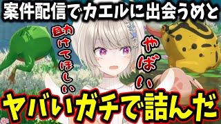 案件配信でも天敵のカエルに出会ってしまい絶叫する小森めと【ぶいすぽ/切り抜き/七つの大罪Origin】
