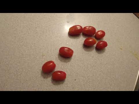 MongoTV_6200 - SPISER SMÅ GAMLE TOMATER LØRDAG AFTEN OG TÆNKER PÅ KØBE SUP PADDELBOARD PÅ KREDIT