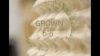 Mycelium material: Growing with mycelium
