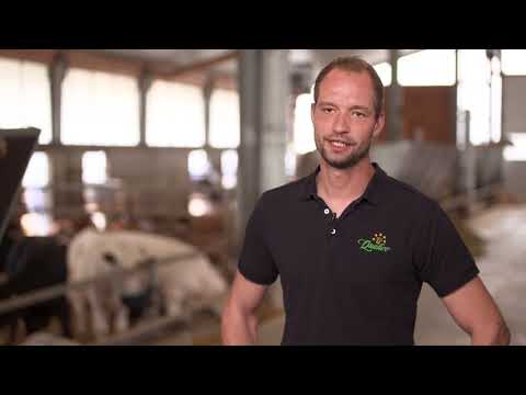 REWE Landbauern Rind und Kalb final