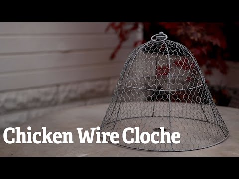 Chicken Wire Cloche