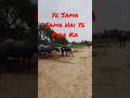 Viral Yeh Sama Sama Hai Pyar ️ ️ Love Youtubeshorts Bollywood Lovesong Status Sauravshrishyam