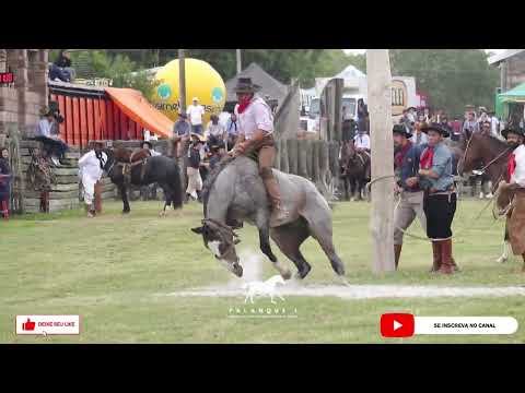 RODEIO INTERNACIONAL DE PELOTAS 2023