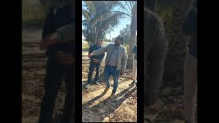 طلاب العياده النباتية