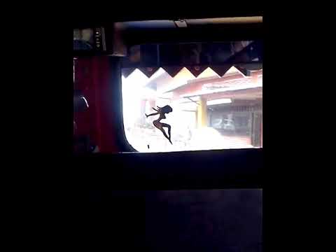 Chivas de san José del palmar parte 2 viaje 1