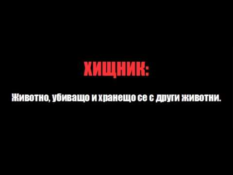 T.H.A., The Drunken Ma и Незнайните от крайните - Хищници 2009