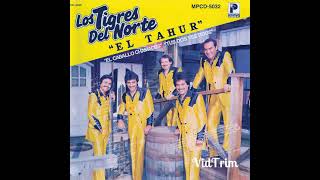 Tus dos vestidos los tigres del norte