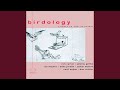 Bird Lives (Live)