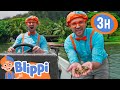 Blippi Learns About Oysters In Hawaii Blippi And Meekah Best Friend Adventures Educational Video