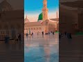 Yaseen Muzammil Mudassir Woh Hi Taha Kya Kya Nye Alqab Se Maula Ne Pukara