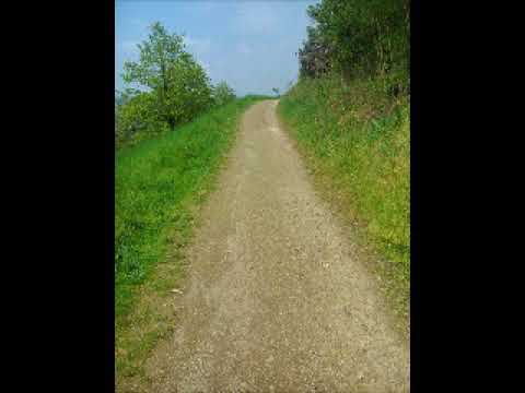 29.Malá výpověď o životě s živým Kristem-Něco málo o dobrém ovoci Života