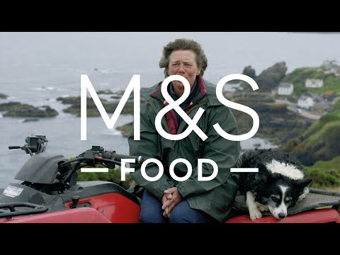 100% British Lamb | Episódio 2 | Atualização do mercado de produtos frescos | M&S FOOD