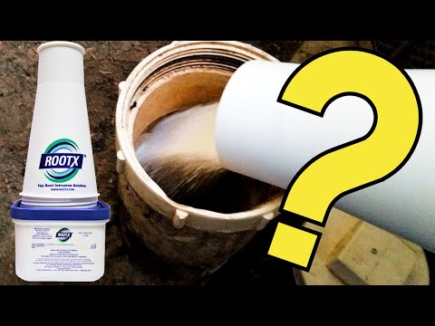 Does ROOTX really work?  The TRUTH about ROOTX.