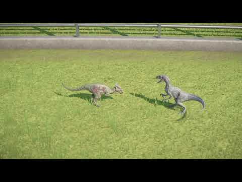 Jurassic World Evolution Battle: Dracorex VS Velociraptor
