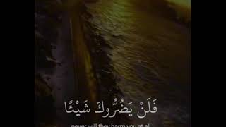 ان الله يحب المقسطين ️