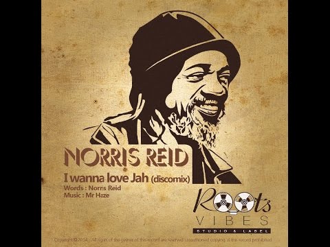 Mr Haze Meditator's Dub (Dub version of Norris Reid-I wanna Love Jah)