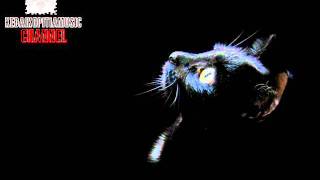 CAKE TAKE IT ALL AWAY BEST QUALITY