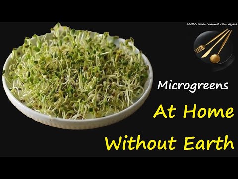👉 Microgreens At Home Without Earth / 👉 Book of recipes / Bon Appetit