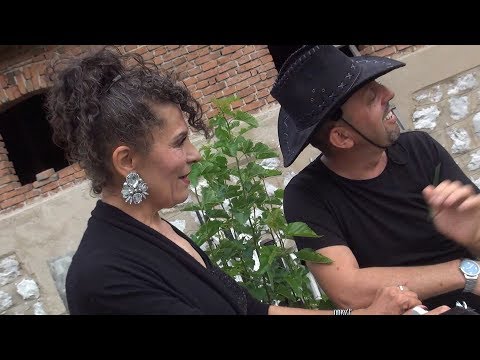 Kokošu,kokošu - Ljubinka Dudejić