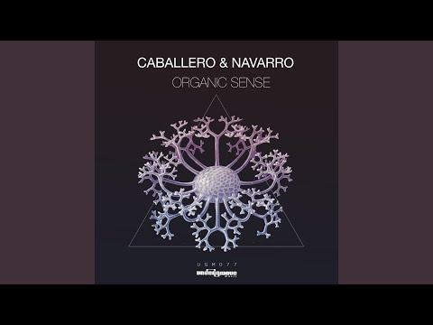 Organic Sense (Original Mix)