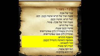 משניות בבא קמא פרק ד משנה ד