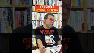 今日から実践できる「最強のストレス解消法」【精神科医・樺沢紫苑】