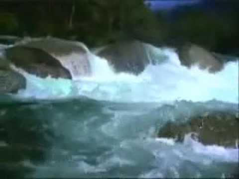 Uống nước bên bờ suối - Lê Uyên Phương / Khánh Ly